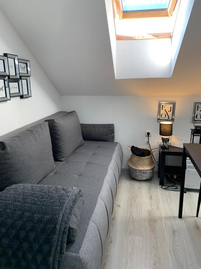 Apartment Mansarda Maribor Exteriér fotografie