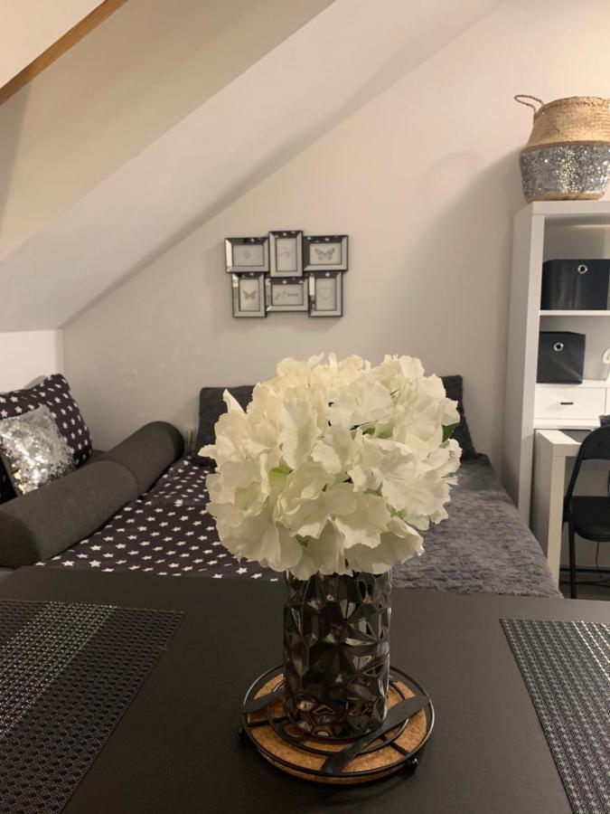 Apartment Mansarda Maribor Exteriér fotografie