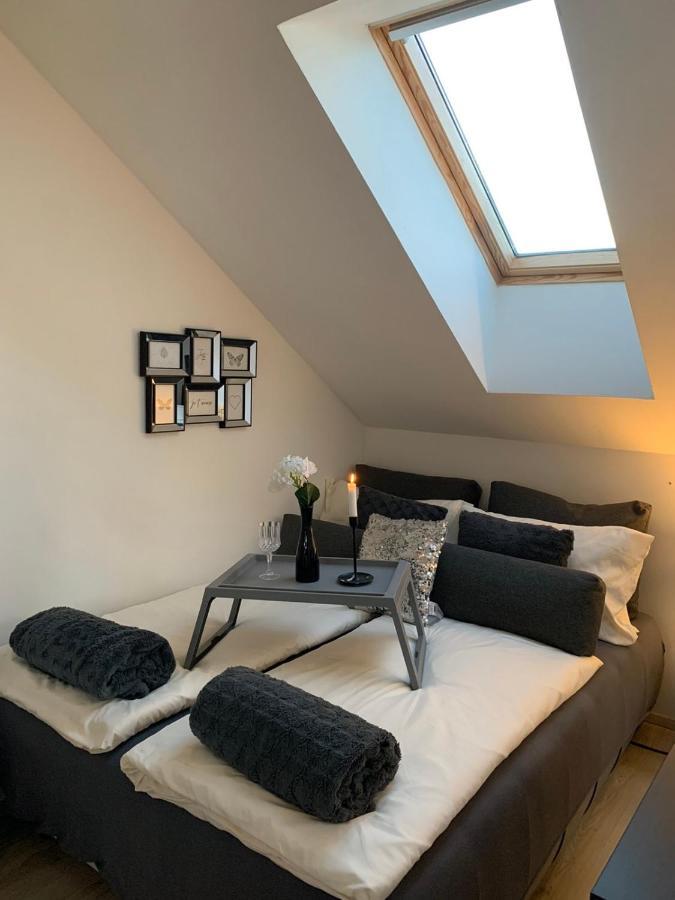Apartment Mansarda Maribor Exteriér fotografie