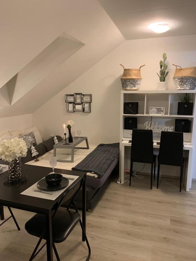 Apartment Mansarda Maribor Exteriér fotografie