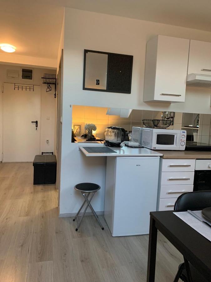 Apartment Mansarda Maribor Exteriér fotografie