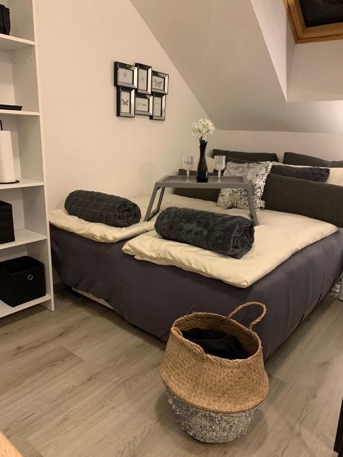 Apartment Mansarda Maribor Exteriér fotografie